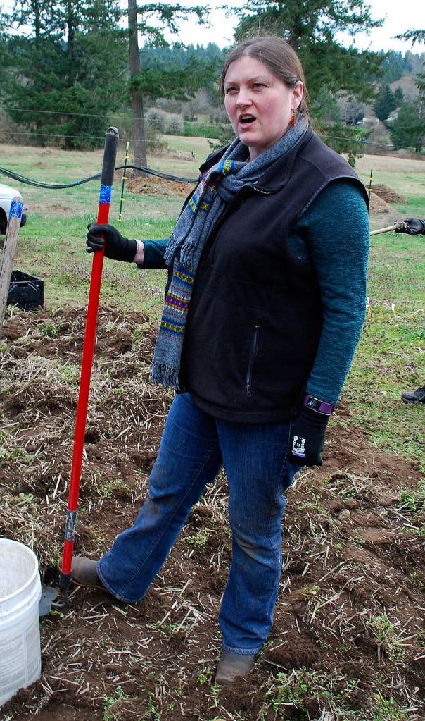 Paisley Gallagher, gleaning coordinator for Kitsap Harvest, a project by Kitsap Public Health, said at least 50 volunteers gathered to glean at least 1,000 pounds of potatoes for South Kitsap Helpline Food Bank. The volunteers also took home some of the bounty to be eaten by their own families. (Bob Smith | Kitsap Daily News)