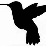 Lorena Teames | Passages