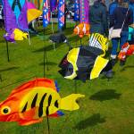 Photo courtesy Terryl Asla, Port of Kingston