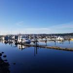 Port of Poulsbo executive director resigns
