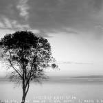 What’s Coming Up, Going Up