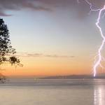 What’s Coming Up, Going Up