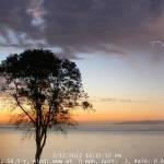 What’s Coming Up, Going Up