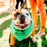 Kitsap Humane Society awarded $150,000 grant by Petco Foundation