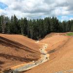 Environmental Protection Agency photo, 2017                                The Gorst Creek site channel has been reconstructed and soils amended with topsoil and mulch. Native vegetation was planted and woody debris placed on upland slopes in the background.