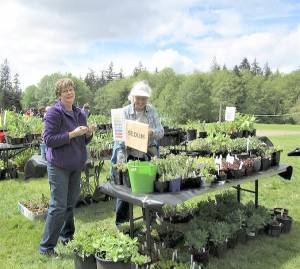 Huge garden sale and savvy surfing talk