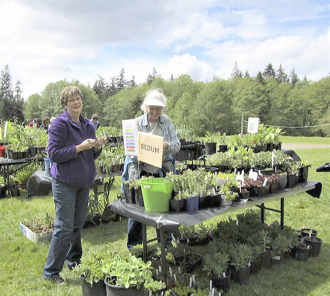 Huge garden sale and savvy surfing talk