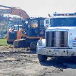 Umbrella-toting beagle promotes ‘almost’ Summer Fest