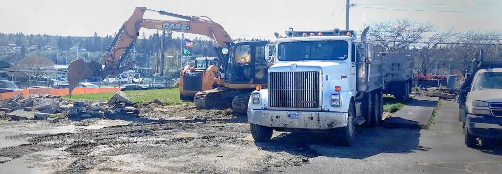 Umbrella-toting beagle promotes ‘almost’ Summer Fest