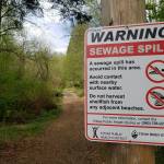 No-contact advisory issued for Dogfish Creek due to sewage spill