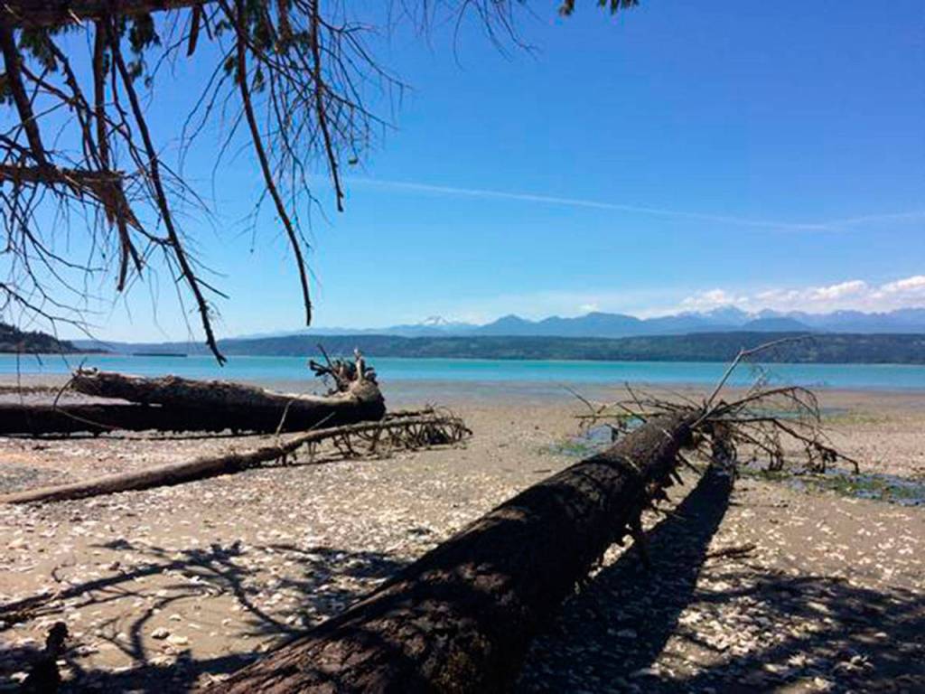 Unique Partnership Protects Hood Canal Shoreline