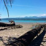 Unique Partnership Protects Hood Canal Shoreline