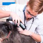 Don’t get ‘ticked’ this summer