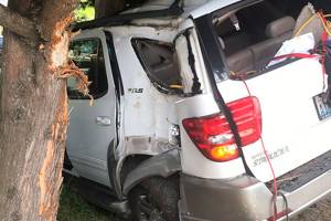 SR 305 collision in Poulsbo wedges SUV in trees