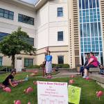 This flock of plastic pink flamingos takes up short-term residence in front of City Hall last week as part of a fundraising gag perpetrated on Port Orchard Mayor Rob Putaansuu by area resident and businesswoman Coreen Haydock. Money being raised is going to a 10-day trip to Southern California next summer by Girl Scout Troop 44117. (Courtesy photos)