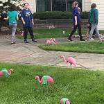 Birds of a feather …