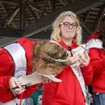 As per tradition, the Miss Viking Fest and Little Miss Viking Fest court try a taste of lutefisk. Reviews varied. Nick Twietmeyer / Kitsap News Group
