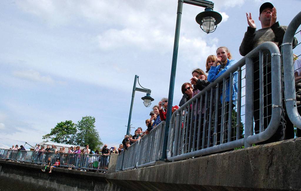 Seagulls come calling in Port Orchard