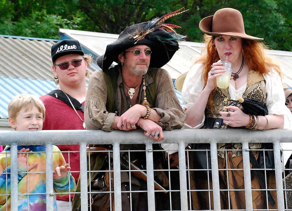 Seagulls come calling in Port Orchard