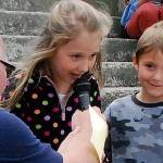 Seagulls come calling in Port Orchard