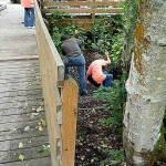 United Way photo                                Volunteers work at Fish Park in Poulsbo at a previous United Way Day of Caring.