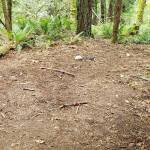 Wilderness Park homeless encampments draw city’s attention