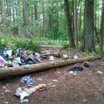 Wilderness Park homeless encampments draw city’s attention