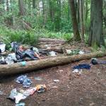 Wilderness Park homeless encampments draw city’s attention