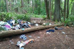 Wilderness Park homeless encampments draw city’s attention