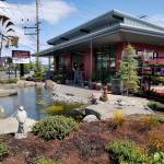 Business is blooming at Olmsted’s Nursery on Viking Avenue