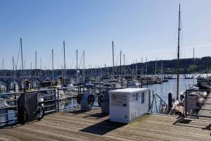 Port of Poulsbo picks Hofer for new manager position