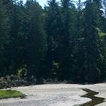 Kingston Stillwaters Environmental Center celebrates Estuary Liberation Day