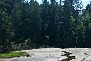 Kingston Stillwaters Environmental Center celebrates Estuary Liberation Day