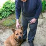 Pet licenses help lost pets get home