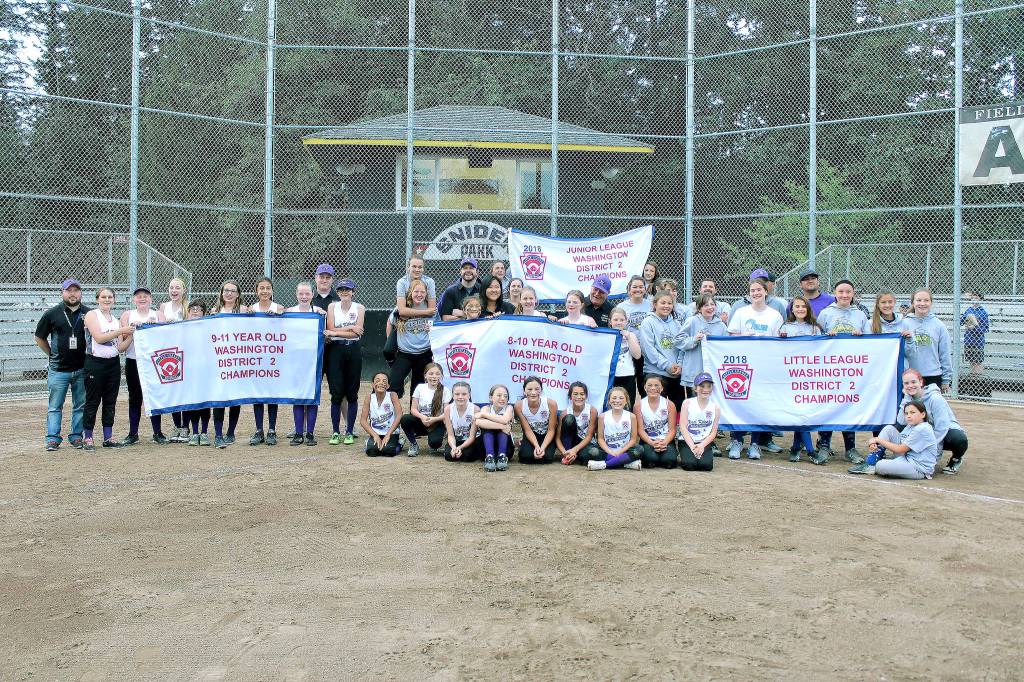 Four North Kitsap softball teams captured district championships in 2018. (Courtesy North Kitsap Little League)