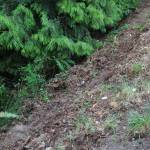 The car, on the lower left-hand side of the picture, was found 30 feet off the shoulder. (Photo courtesy Kitsap County Sheriffs Office)