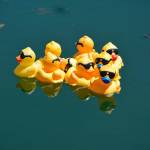 Whaling Days are back in Old Town Silverdale