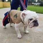 Reporter’s Notebook | Spending a week with the Marines