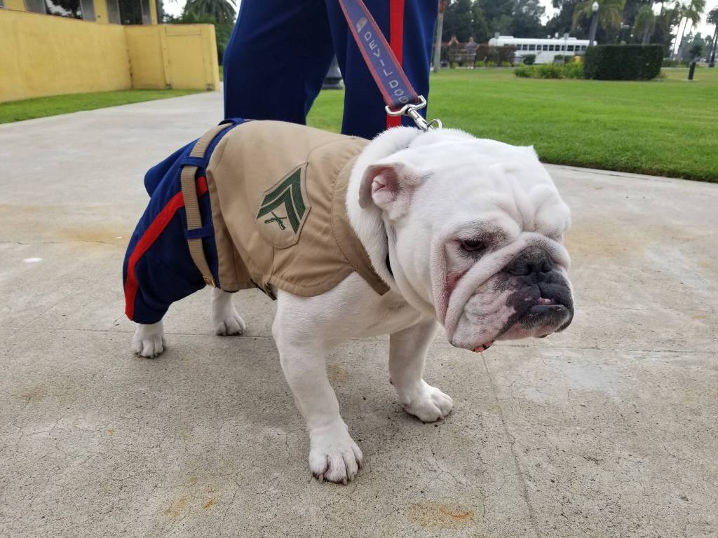 Reporter’s Notebook | Spending a week with the Marines