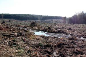 UPDATE | Pope Resources postpones Hansville spraying ahead of community meeting