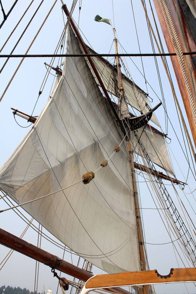 Cat-and-mouse play on Sinclair Inlet: Tall ships in port a reminder of past centuries