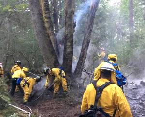 Fire marshal investigates suspicious fires in Illahee