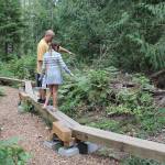 Port Orchard resident Jesse Arellano and his daughter Aliyah, 10, tackle the zig-zag boardwalk at South Kitsap Regional Parks new Forest Explorer Trail. (Bob Smith | Kitsap Daily News)