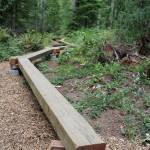 Adults and kids alike can enjoy new nature trail — and learn something