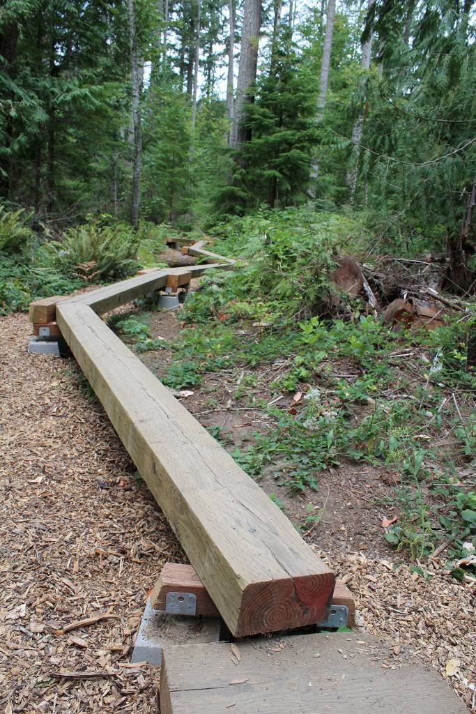 Adults and kids alike can enjoy new nature trail — and learn something