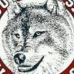 South Kitsap boys tennis | Fall Sports Preview