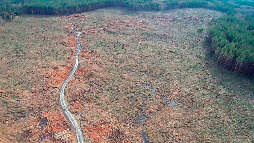 Pope Resources voluntarily delays herbicide spraying