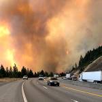 Kitsap women help pets displaced by wildfires