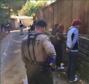 Several arrests made at alleged drug house