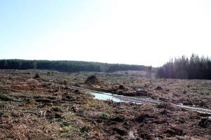 Lawsuit against Pope Resources dropped